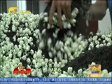 《广西新闻》 20180309