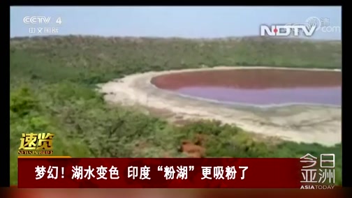 [今日亚洲]速览 梦幻！湖水变色 印度“粉湖”更吸粉了_CCTV节目官网-CCTV-4_央视网(cctv.com)