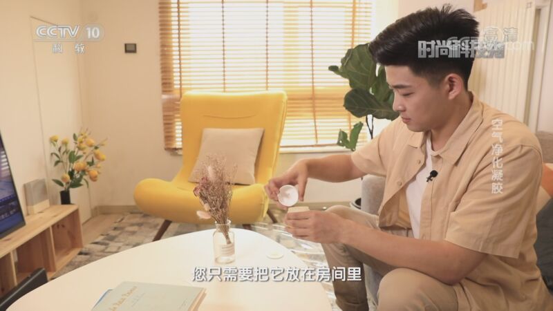 [时尚科技秀]空气净化凝胶_CCTV节目官网-CCTV-10_央视网(cctv.com)