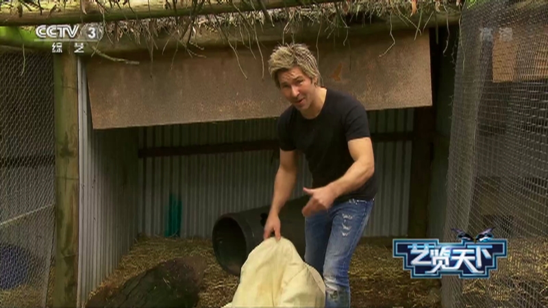 [艺览天下]克里斯为怀孕的雌性斑袋鼬检查身体状况_CCTV节目官网-CCTV-3_央视网(cctv.com)