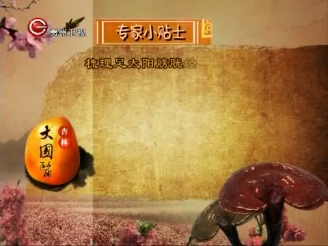 《杏林大国医》 20121204 膀胱经和肾经
