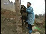 ��ɫʱ�� 2010-03-21