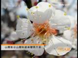 [ũ�����]�ձ�ӣ�����༼��(2009.11.16)