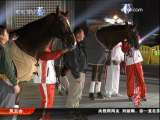 <a href=http://sports.cctv.com/20091024/103486.shtml?column=C24803 target=_blank>[ȫ�˷��ƻ�]�����ڽ�Ŀ¼���ֳ�������Ӧ</a>