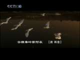 [̽��������]�����루����������˪��(2010.01.06)