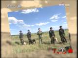 [״Ԫ360]�ѱ�������£�(2009.11.21)