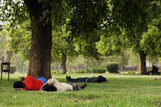 <br><strong><p>Heat waves hit New Delhi since April and the high temperature here kept over 40 degrees centigrade for a successive 12 days, with the highest 43.7 degree centigrade on April 18...</p></strong>