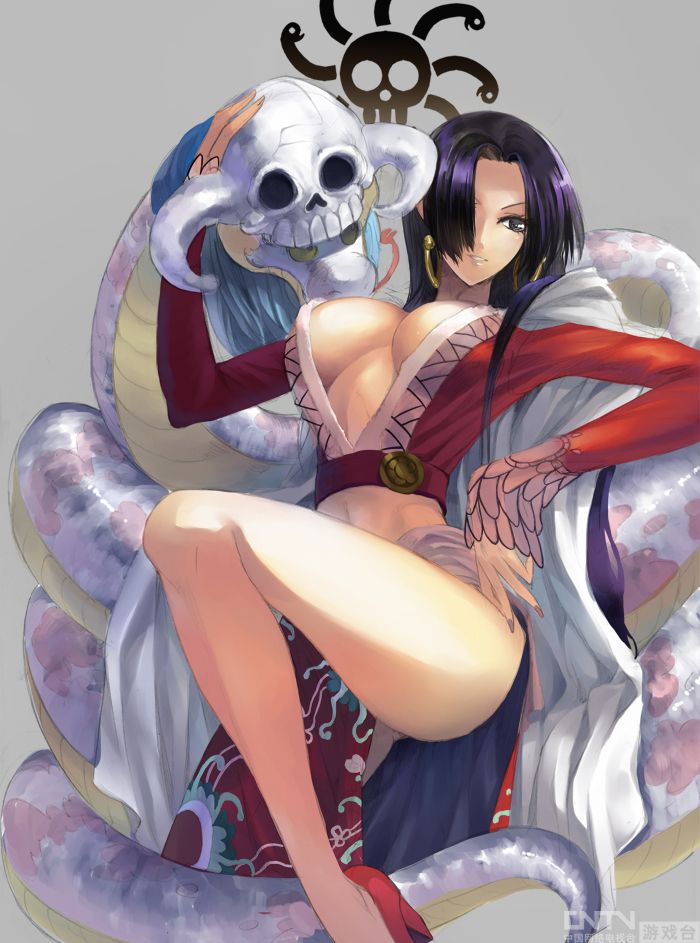 <em>海贼王女帝同人</em>画作赏析