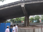 �¹��ֳ�һƬ����