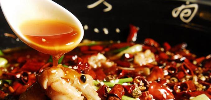 科教_央视网_科教台_央视网(cctv.com)