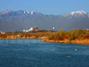 A cultural taste of Yinchuan