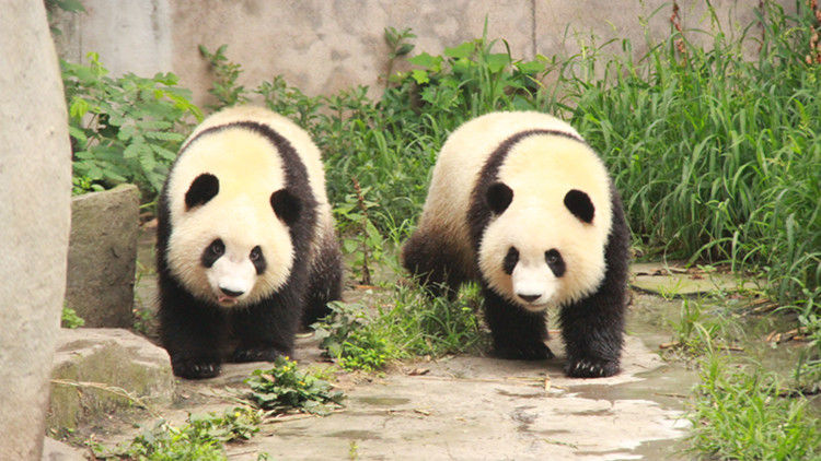 推荐_CBox发布_央视网(cctv.com)