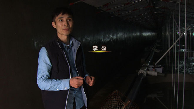 CCTV-7军事农业频道官网