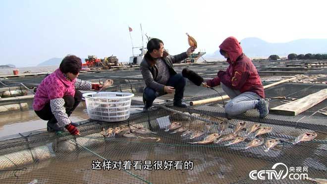 CCTV-7军事农业频道官网