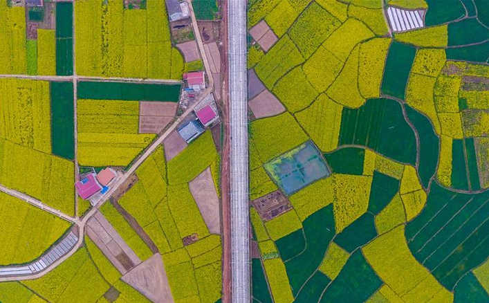 CCTV13-新闻频道节目官网