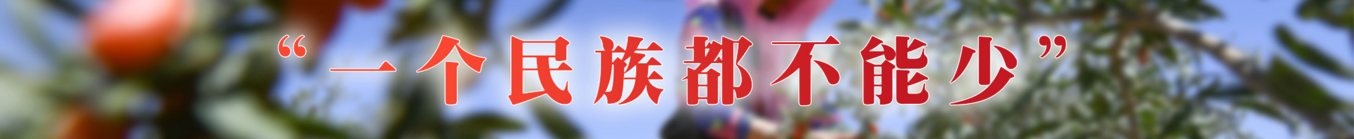 “一个民族都不能少”