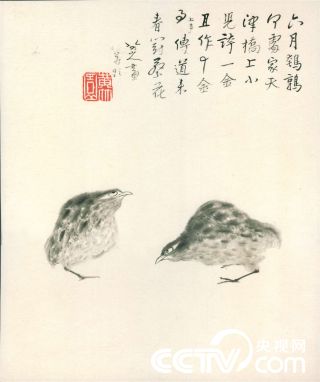 央视画廊】传世墨迹——清·八大山人《花鸟山水册》_央视网(cctv.com)