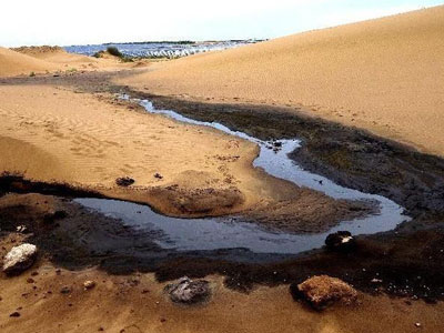 大S称汪小菲精子值钱 王思聪:张雨绮有几亿_新