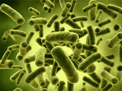  韩美推迟签署 萨德联合工作组运营 协议 _新闻