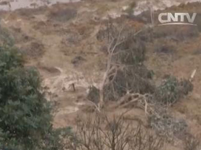 陕西省榆林市神木县政府28岁女副县长完整履