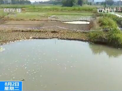 滴滴出行:未来很长一段时间内红包和奖励将继