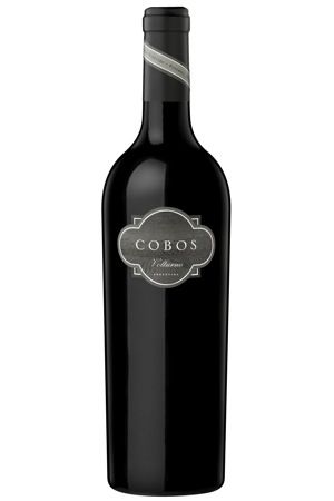 在阿根廷看图蓬加托火山