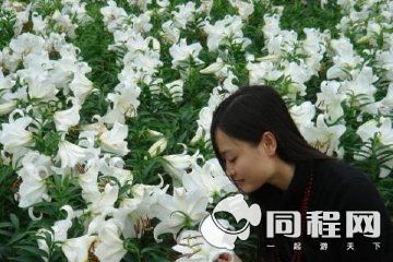 五一节成都周边游特色推荐_旅游台_央视网