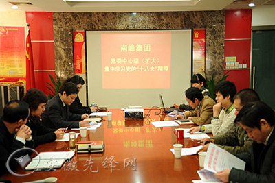 巢湖市着力推进非公党建示范点规范化建设