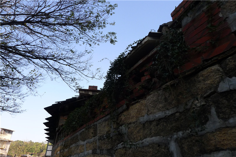 B313 音乐学校小学部 《鼓浪屿·老故事》 钱宸