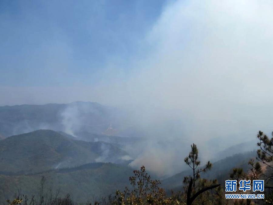 云南牟定发生一起森林火灾 <em>过火</em>面积约300亩_