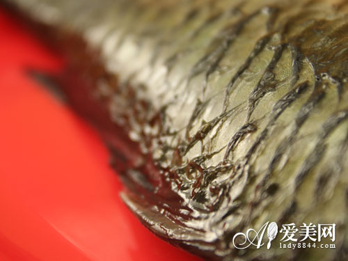 <em>女人阴虚</em>易致多种皮肤问题 6食物滋阴养颜_旅