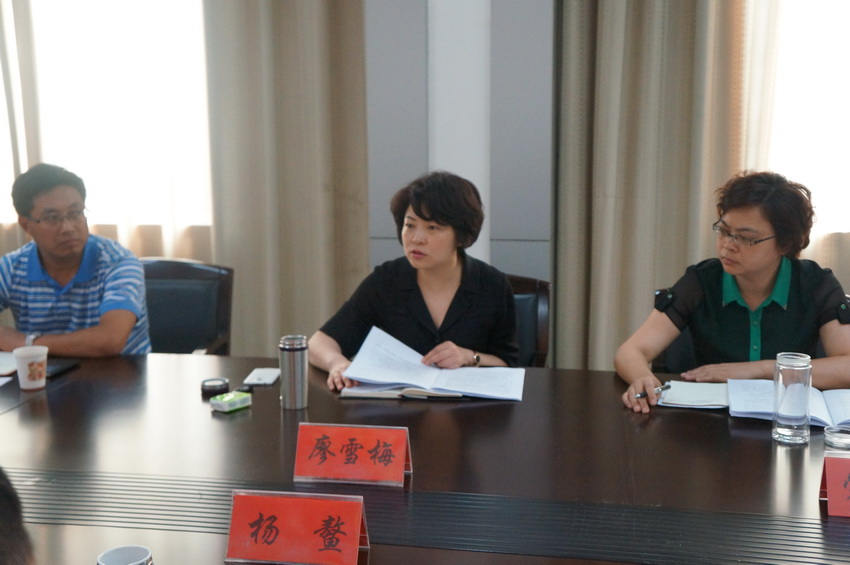 <em>女</em>县委书记民主生活会被批<em>官气</em> 半月后自己拎
