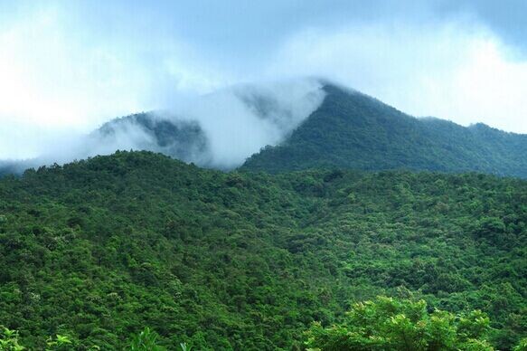 尊贵与品质完美结合 品鉴茶中帝王玉壶香_品鉴