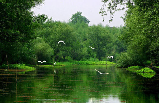 非诚勿扰之旅_旅游_央视网(cctv.com)