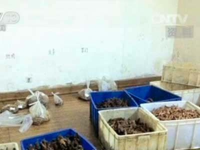 网络购物:如何对假货说不?_新闻_央视网(cctv.