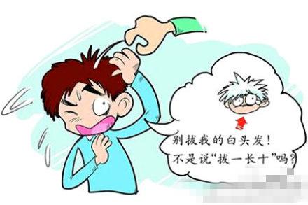 白<em>头发</em>越<em>拔</em>越多,是真的吗?_是真是假_央视网(