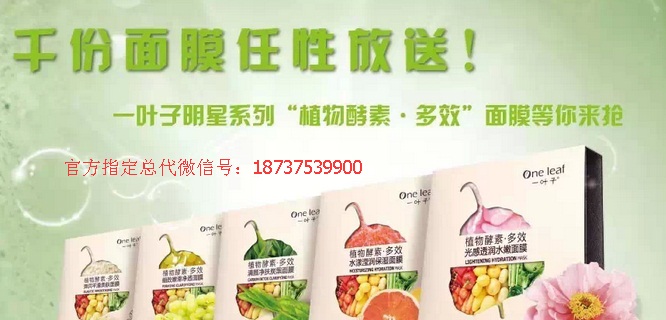 韩束护肤品一叶子面膜 2015帮你实现梦想