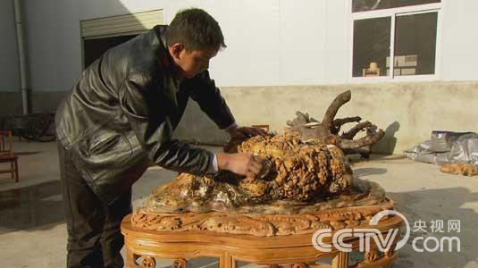 央视七套《绿色时空》1月11日节目预告_三农频道_央视网(cctv.com)