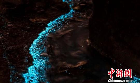 珠海惊现蓝色荧光海滩当地居民齐聚围观（图）