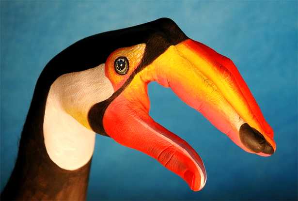 Body painting assumes a new form in the hands of Italian artist Guido Daniele.