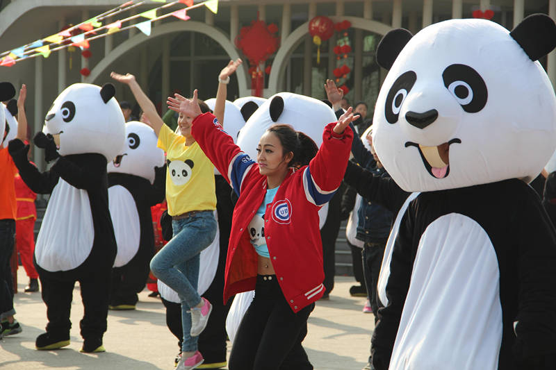 “天府之国”上演“熊猫”团圆大快闪