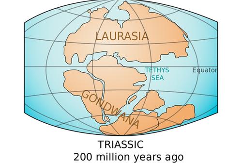 消失的大陆 感受别样的旅行体验_旅游_央视网(cctv.com)