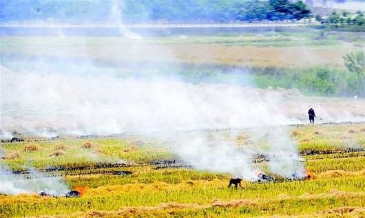 中国多地禁止露天焚烧农作物秸秆削减雾霾来源