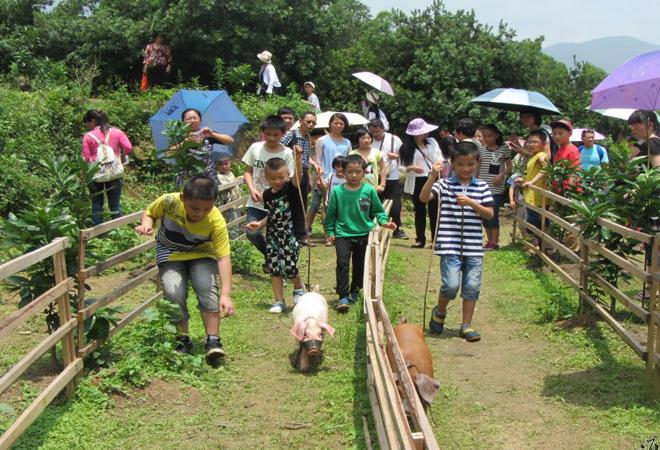 轻松五一，自驾亲水游推荐之六:南安玫瑰小镇