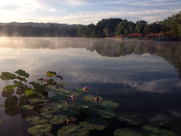 承德 离宫初雨后 花气满天阶_旅游_央视网(cct