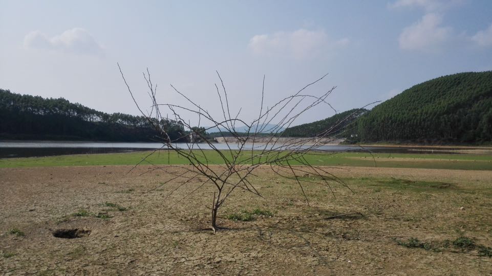 广西干旱致损失5.74亿 天气预测将出现旱涝急