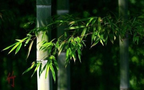 诗词分类鉴赏_科教_央视网(cctv.com)