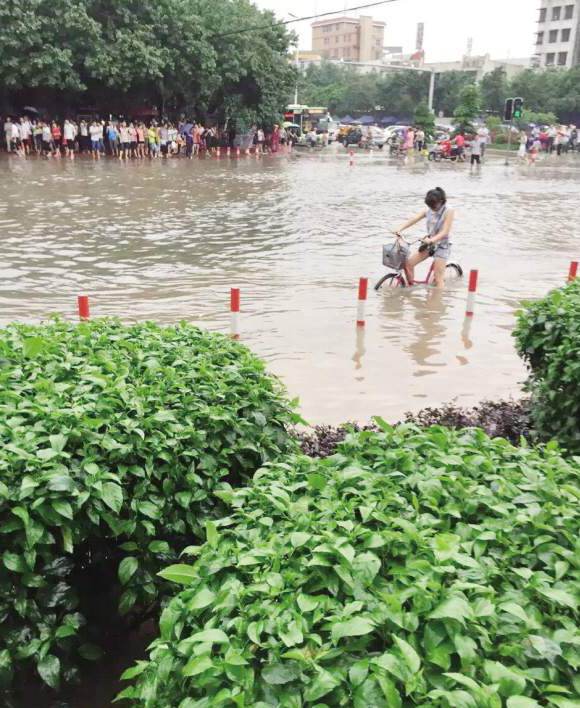 昨日豪雨如注集美多处积水 杏林雨量超过100毫