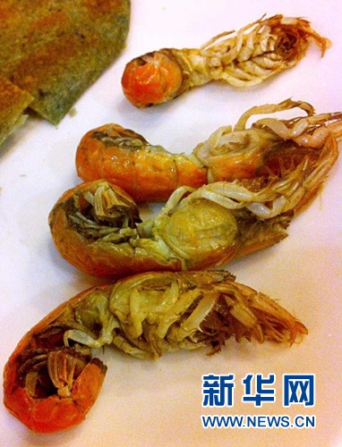 从台湾小吃圣经看如何制造小确幸_新闻_央