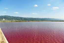 运城盐湖变成红色